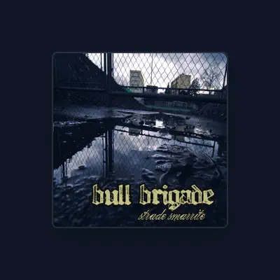 Listen to Bull Brigade, watch music videos, read bio, see tour dates & more!
