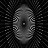 Dootexperience Vol.12