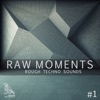Alejandro SCHWARZ Neuronum (Alejandro Trebor Remix) Raw Moments, Vol. 1 - Rough Techno Sounds