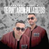 Te Pintaron Pajaritos (feat. Andy Rivera) artwork