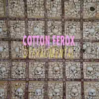 Revolt Against The Modern World — Cotton Ferox