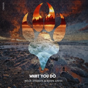 What You Do - Single