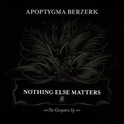 Nothing Else Matters - Apoptygma Berzerk