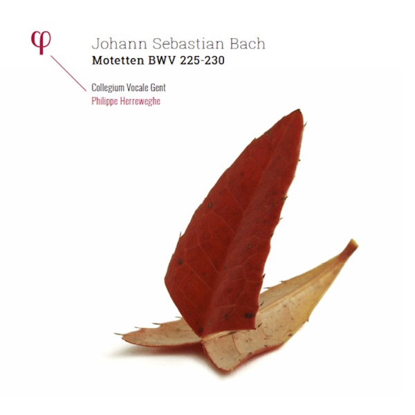 Bach: Motets