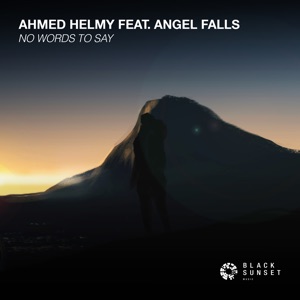 No Words To Say (feat. Angel Falls) - Single