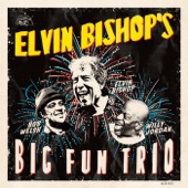 Elvin Bishop's Big Fun Trio artwork