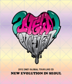 2012 2NE1 Global Tour Live New Evolution in Seoul