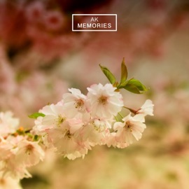 Memories AK