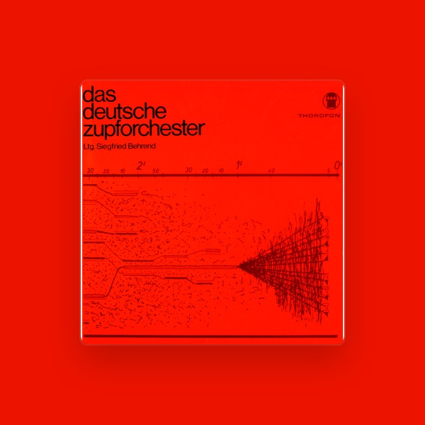 Das Deutsche Zupforchester's avatar