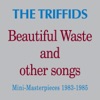 Beautiful Waste and Other Songs - Mini Masterpieces 1983 - 1985