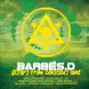 Barbés.D - Lead the Fight (feat. Naïma Mansri)