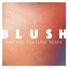Blush (Vintage Culture Remix) cover art