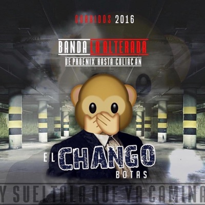 Chango Botas - Single