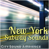 N Train at 34th Street, Transit Sounds song art