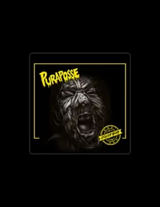 聆聽 Puraposse、觀看音樂影片、閱讀小傳、查看巡演日期等！