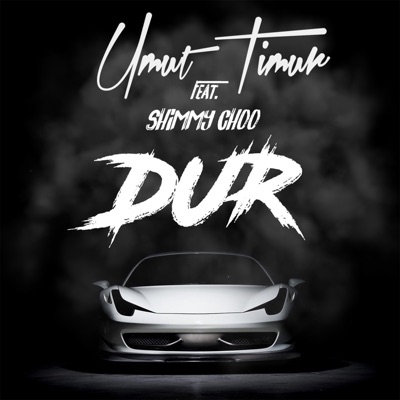 Dur (feat. Shimmy Choo) - Single