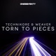 Torn to Pieces Single