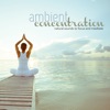Ambient Concentration Natural Sounds To Focus and Meditate