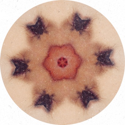 What Do You Say - Single