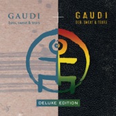 Gaudi - Dub It Dub