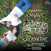 Kanave Kalayathe (From "Kanave Kalayathe") artwork