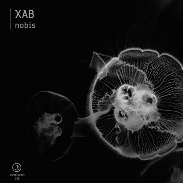 Nobis - Single