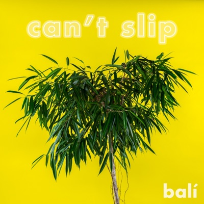 Can't Slip - Single