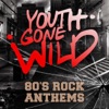 Youth Gone Wild - 80's Rock Anthems, 2017