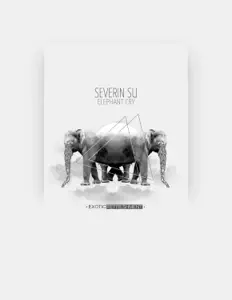 Listen to Severin Su, watch music videos, read bio, see tour dates & more!