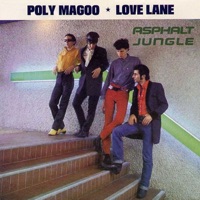 Poly Magoo / Love Lane - Single - Asphalt Jungle