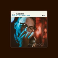 J.D. Wilkes & the Dirt Daubers