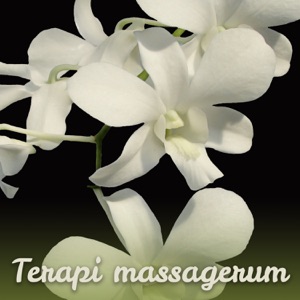 Terapi massagerum: Bastu musik, Skönhetsbehandling, Heta stenar, Wellness spa avkoppling, Bad tid, Rekreation