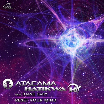 Reset Your Mind (feat. DJane Gaby) - Single