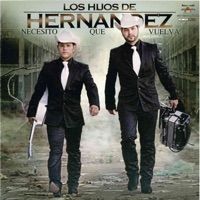 Necesito Que Vuelva - Los Hijos De Hernández