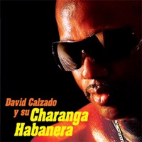 Entra en Mi Vida (Salsa)