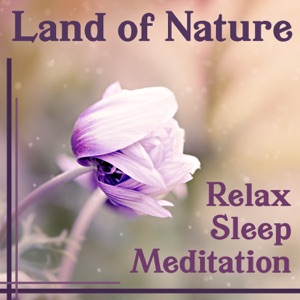 Land of Nature: Relax, Sleep, Meditation – Soft Music for Good Vibes, Yoga Reduces Stress & Zen, Light Sleep, Rest Your Mind