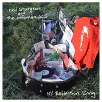 Break Me — Neil Sturgeon & The Infomaniacs