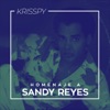 Homenaje A Sandy Reyes - Single