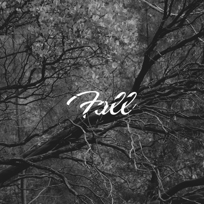 Fall - Single