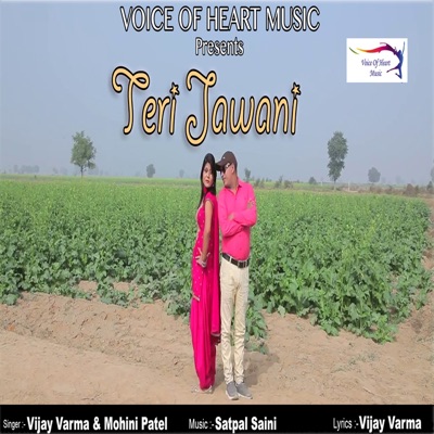 Teri Jawani - Single