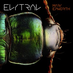 ELYTRAL cover art