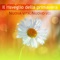 Pensiero positivo (Calm Breath) - Relax musica zen club lyrics