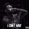 I Can't Wait - Devvon Terrell lyrics