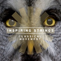 Inspiring Strings: Classical Movement - Tom Howe & Stephen Tait