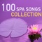 Pure Massage Music - Divine Spa Music Series lyrics