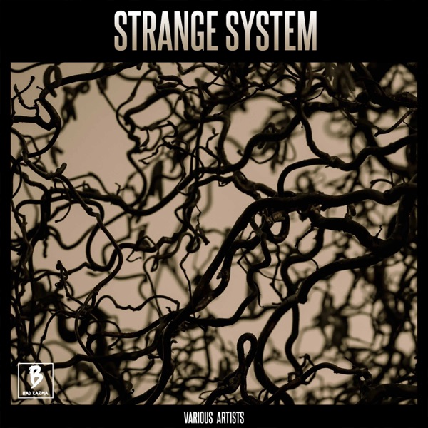 Strange System