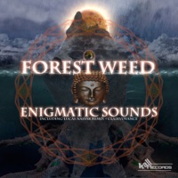 Enigmatic Sounds - Single - Forest Weed