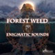 Enigmatic Sounds Single