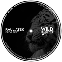Drop Beat - Single - Raul Atek