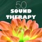 Deep Focus - Sound Therapy Music Specialists lyrics